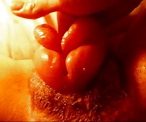 疯狂的巨大的抽猫