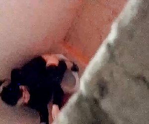 越南的间谍卫生间