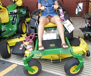 公共猫闪烁在割草机