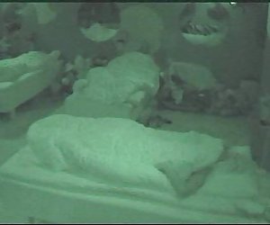 大哥，2006-杰西卡