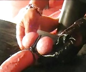 有关的家伙在猫