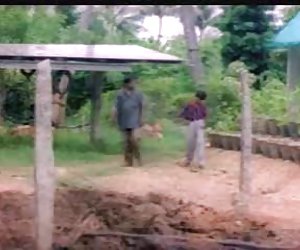 在令人敬畏的胸部