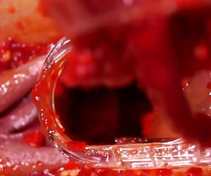 Queensnake.com -胡椒女同性恋者1