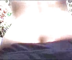 公共-毛茸茸的小猫