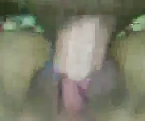 斯坦以及一千三百万的姐姐(妹妹)