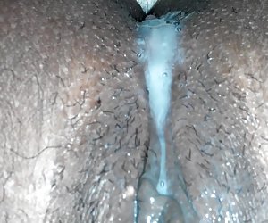 饼滴从猫的妻子