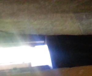 斯里兰卡的数量闪光。 有趣的skype=焦炭。karaya32