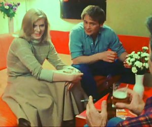 你是纯洁的猫，我有个肮脏的杂志