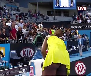 战利品的维纳斯