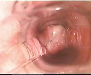 内部的猫在性高潮l7