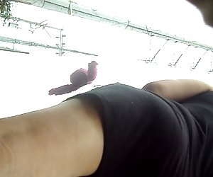 总的摩洛伊斯兰解放阵线的黑色礼服，黑色的丁字裤