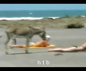 有趣..4....ch。 t. b.