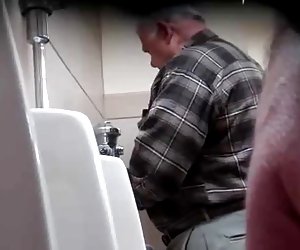 爷爷脂肪的公鸡